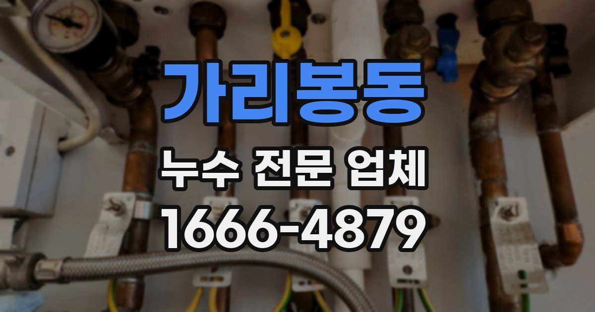 가리봉동 누수 전문 업체