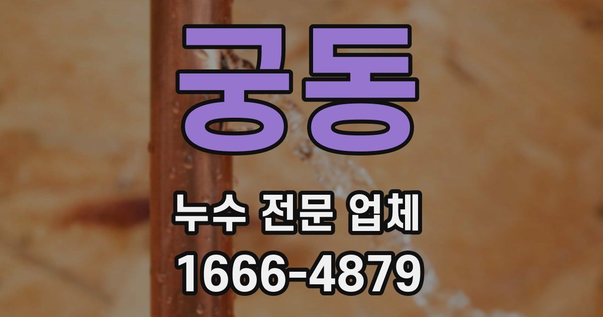 궁동 누수 전문 업체