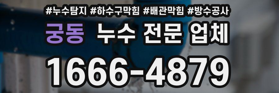 궁동 누수 전문 업체