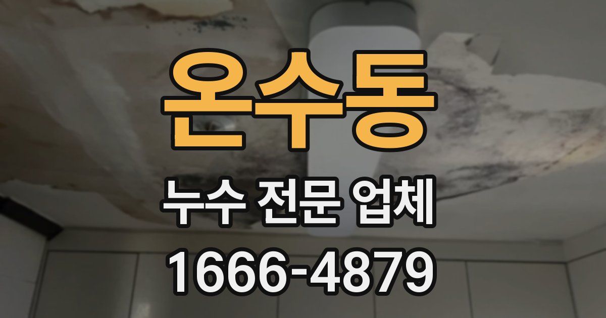 온수동 누수 전문 업체
