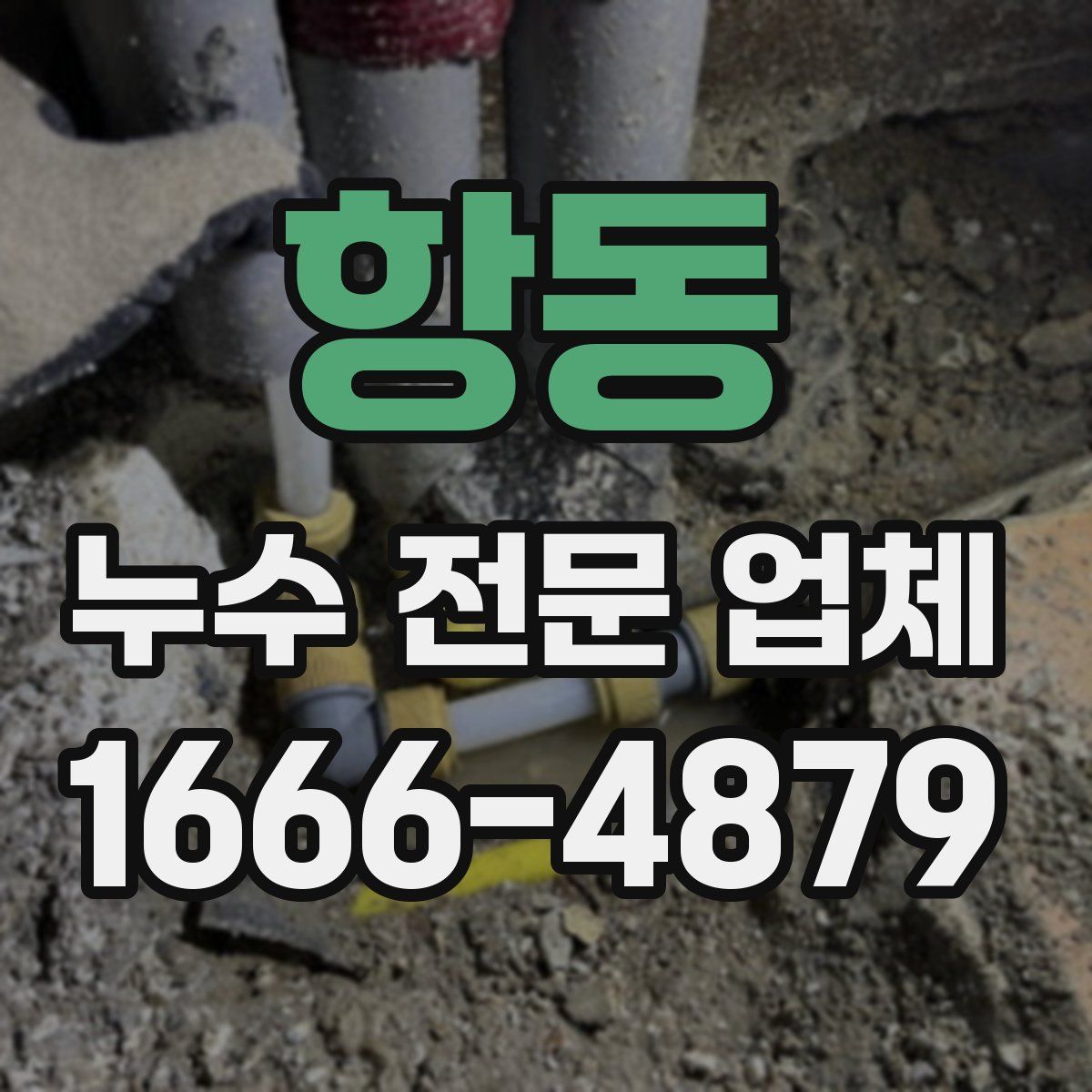 항동 누수 전문 업체