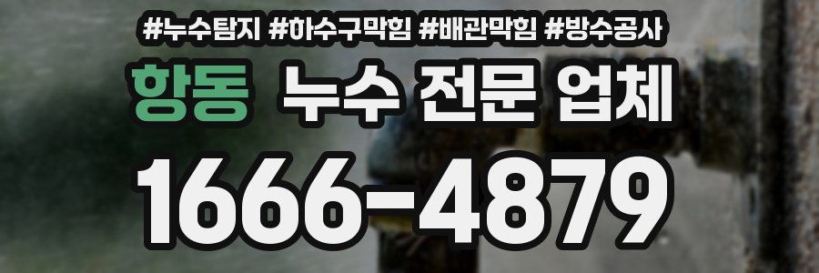 항동 누수 전문 업체