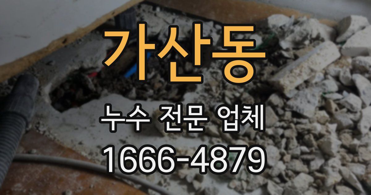 가산동 누수 전문 업체