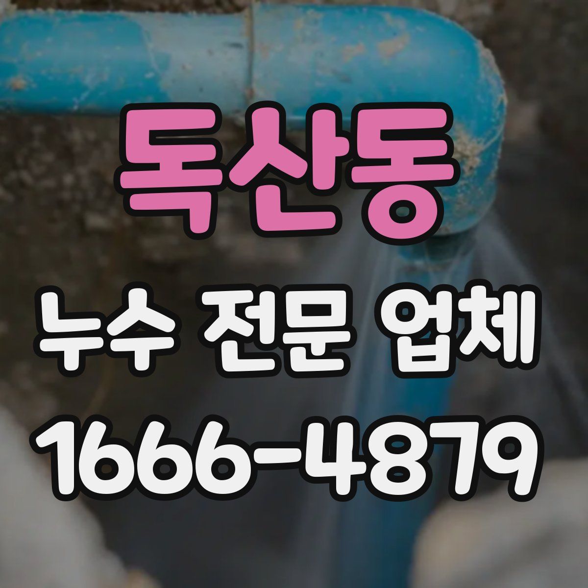 독산동 누수 전문 업체