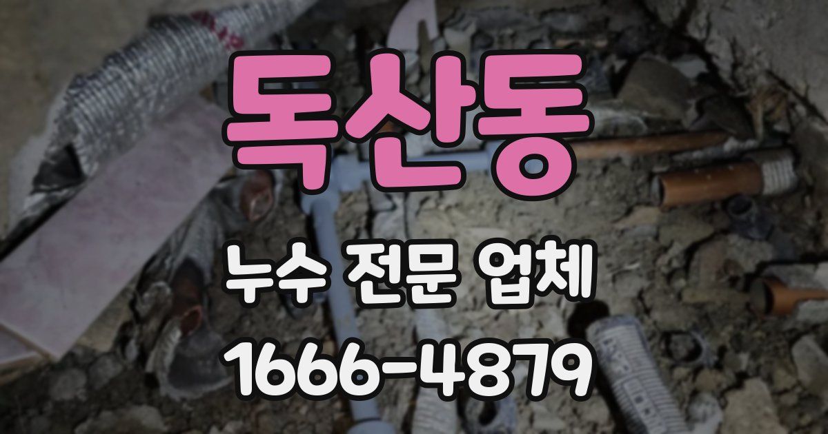 독산동 누수 전문 업체