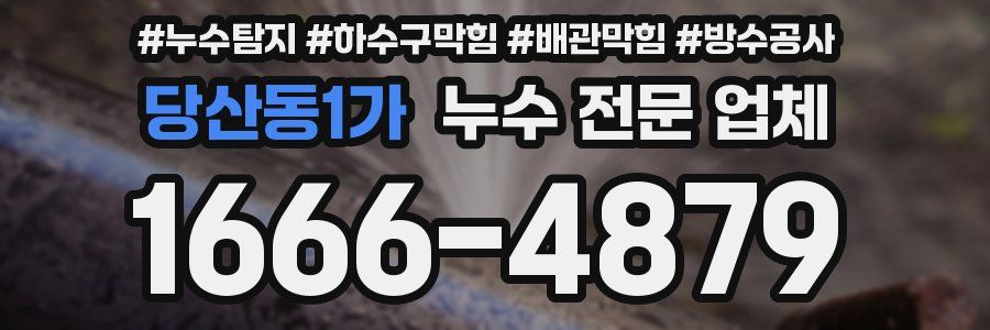 당산동1가 누수 전문 업체