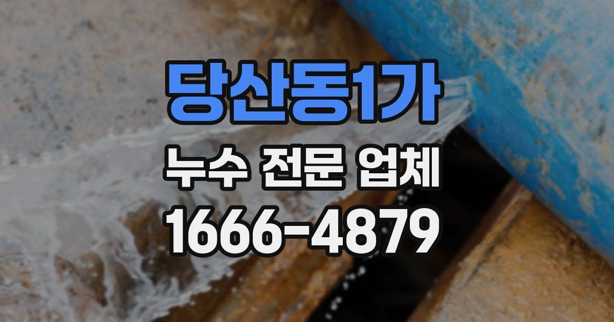 당산동1가 누수 전문 업체