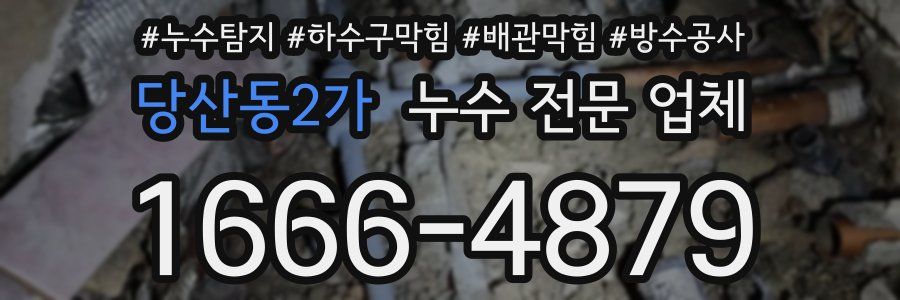당산동2가 누수 전문 업체