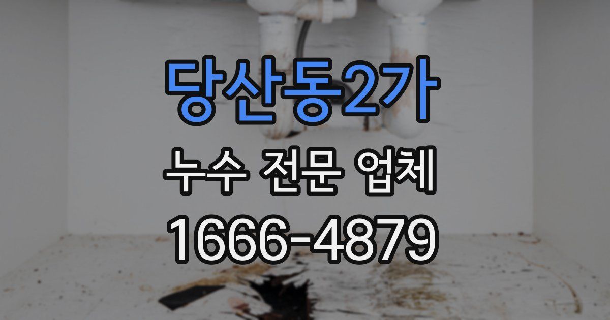 당산동2가 누수 전문 업체