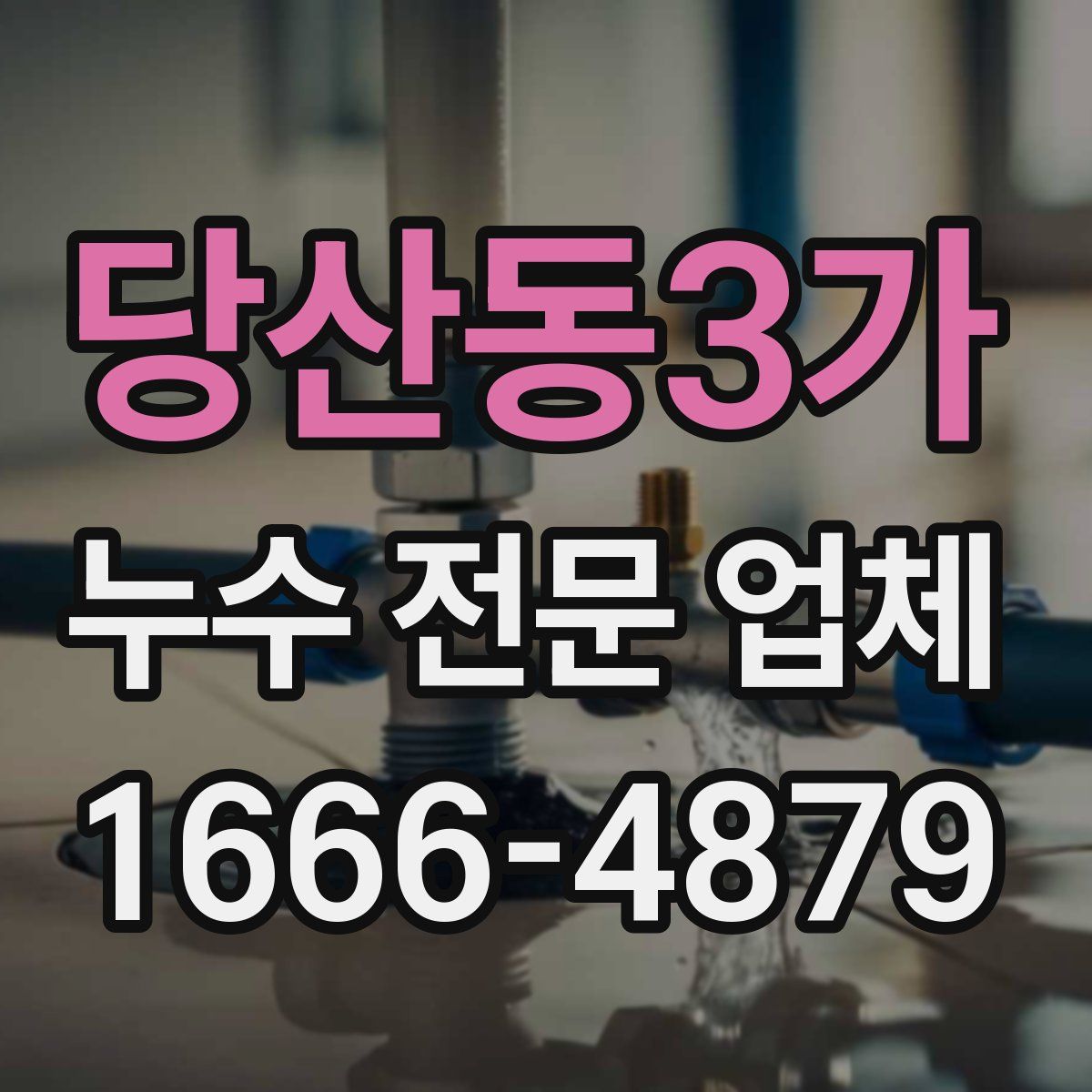 당산동3가 누수 전문 업체