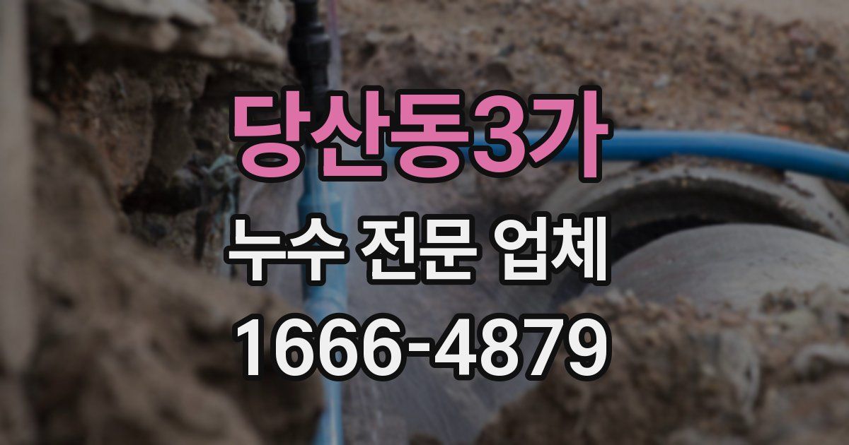 당산동3가 누수 전문 업체