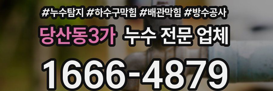 당산동3가 누수 전문 업체