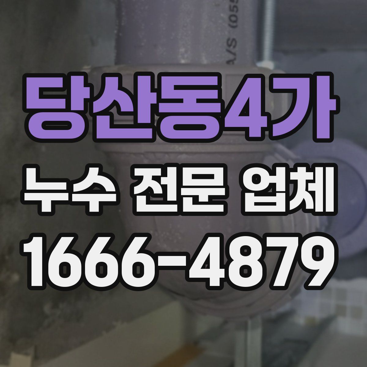 당산동4가 누수 전문 업체