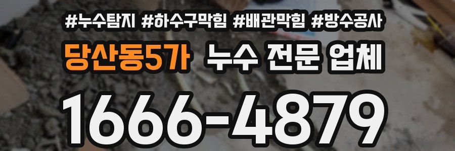 당산동5가 누수 전문 업체
