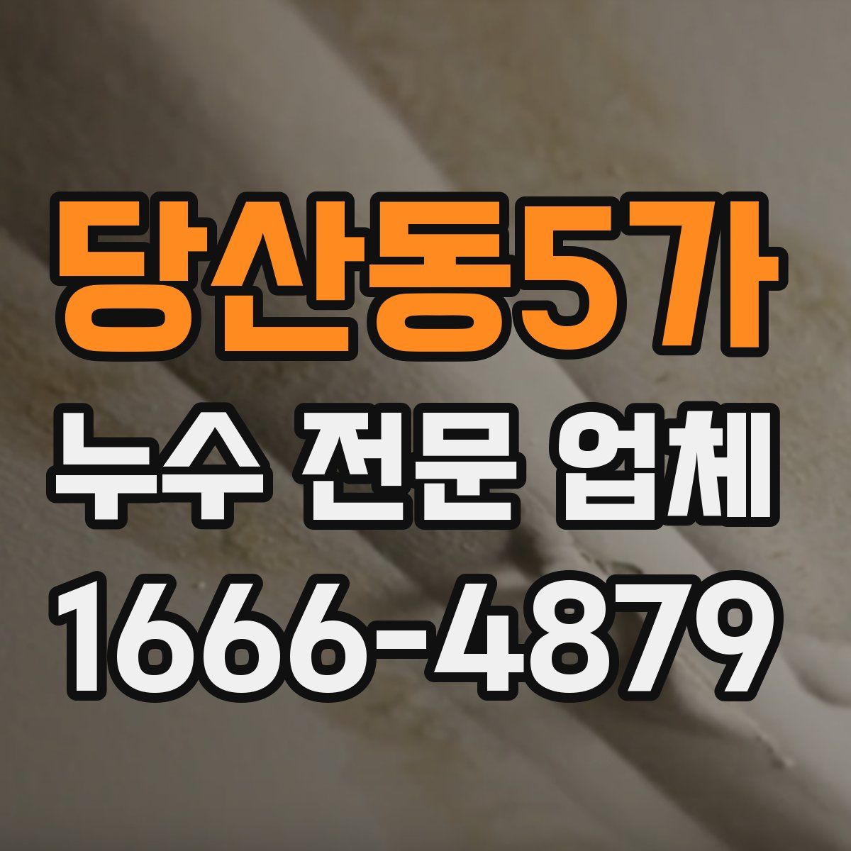 당산동5가 누수 전문 업체
