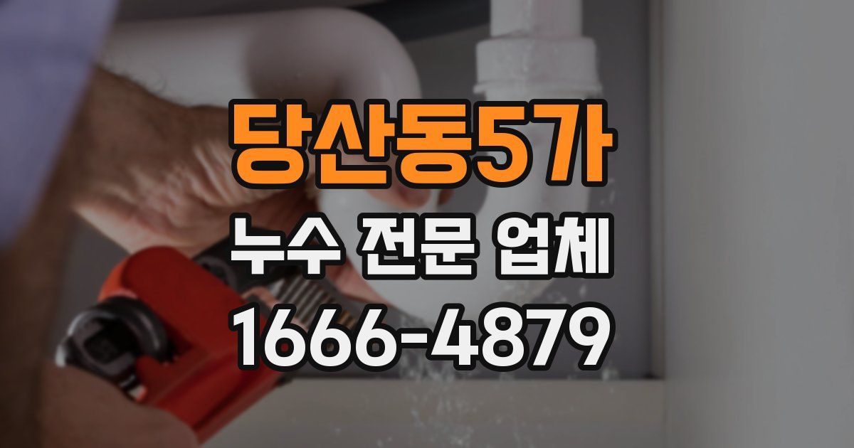 당산동5가 누수 전문 업체