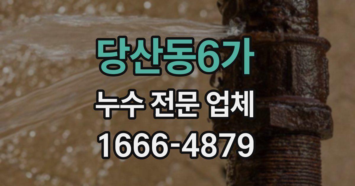 당산동6가 누수 전문 업체