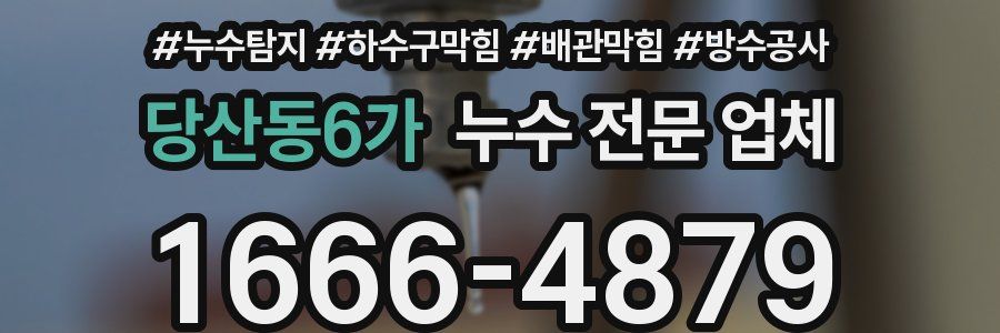 당산동6가 누수 전문 업체