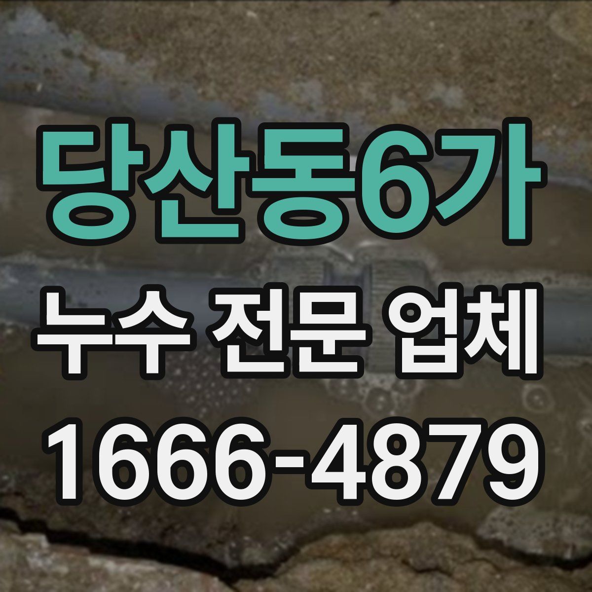 당산동6가 누수 전문 업체