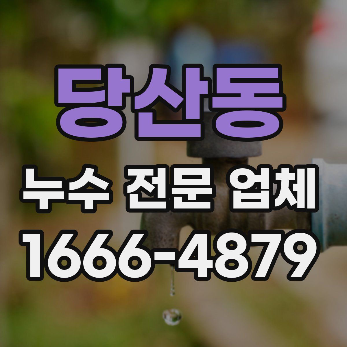 당산동 누수 전문 업체