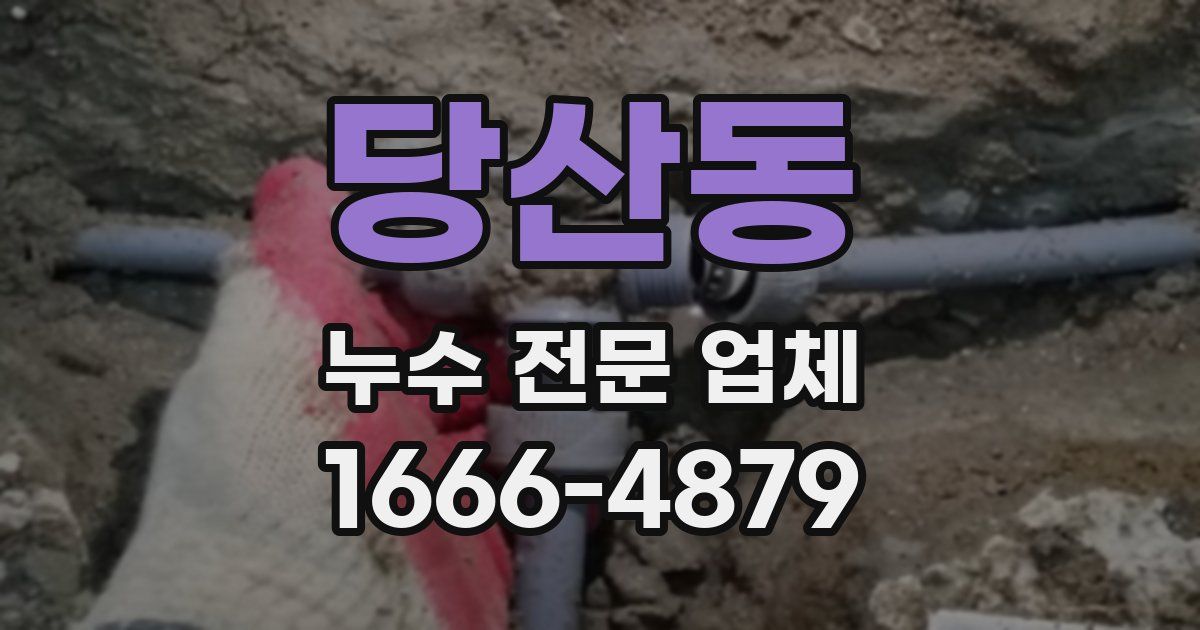 당산동 누수 전문 업체