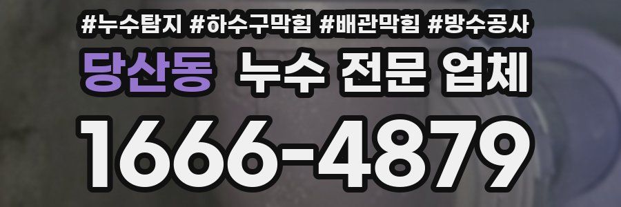 당산동 누수 전문 업체