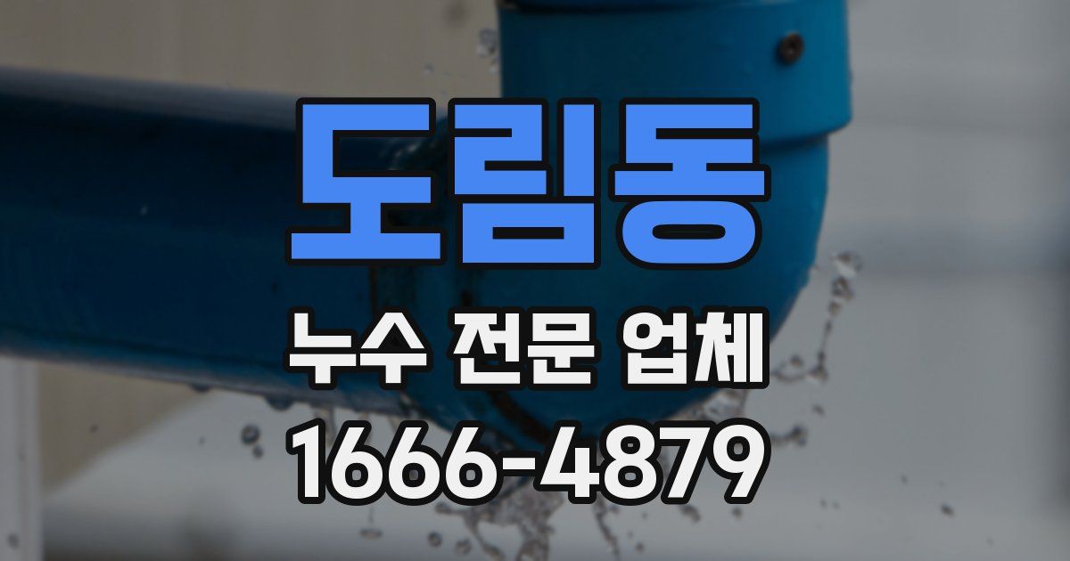 도림동 누수 전문 업체