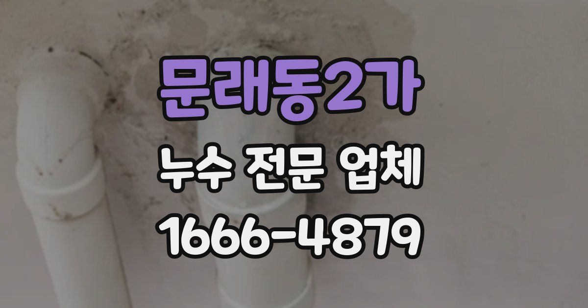 문래동2가 누수 전문 업체