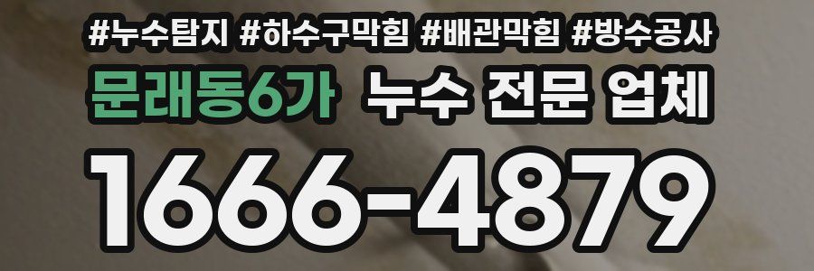 문래동6가 누수 전문 업체
