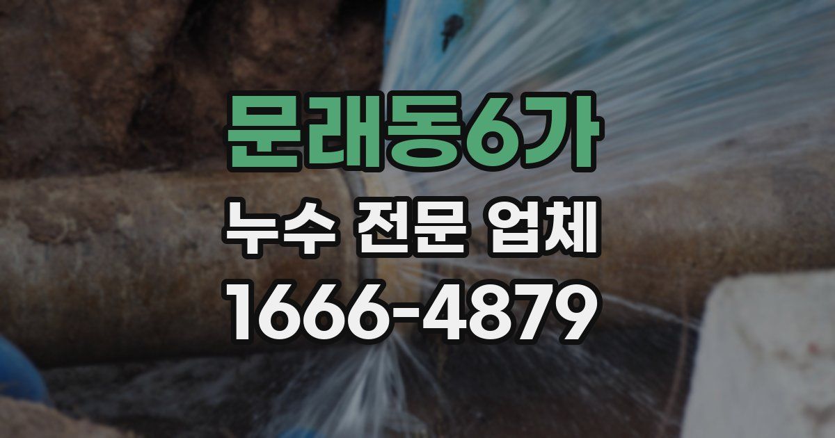 문래동6가 누수 전문 업체