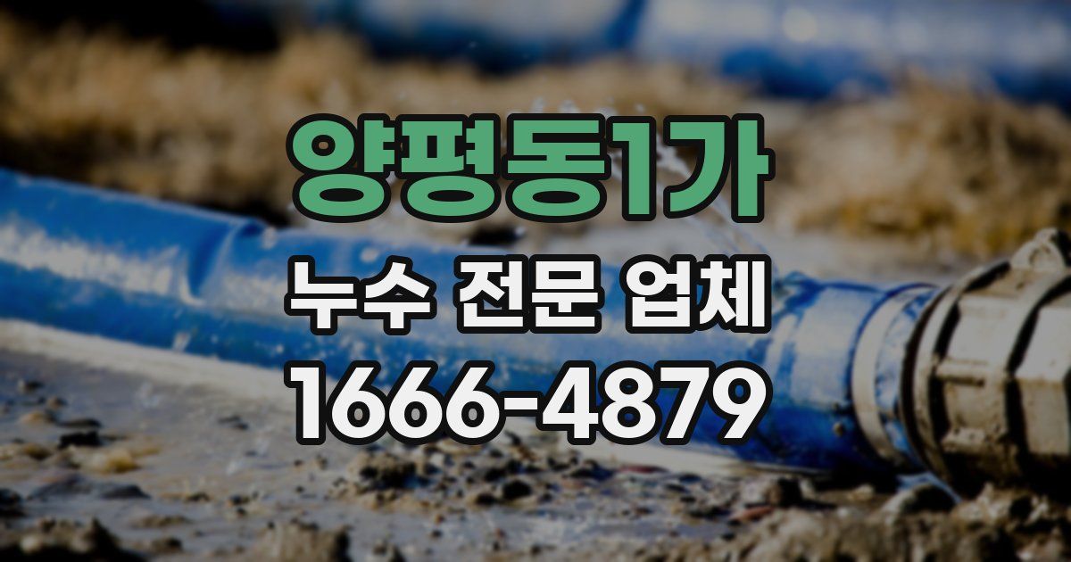 양평동1가 누수 전문 업체