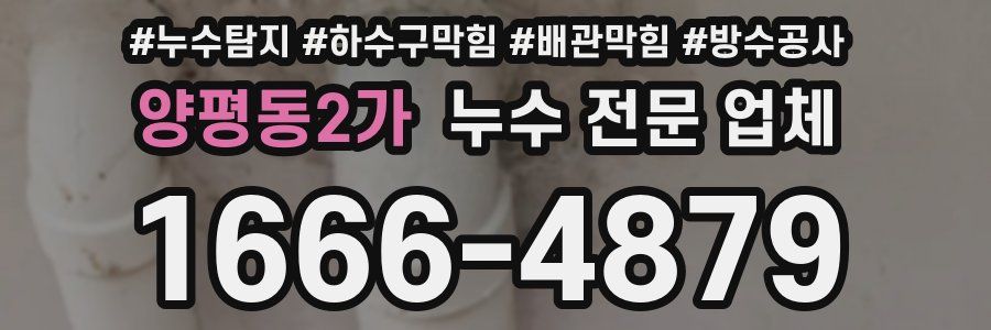 양평동2가 누수 전문 업체