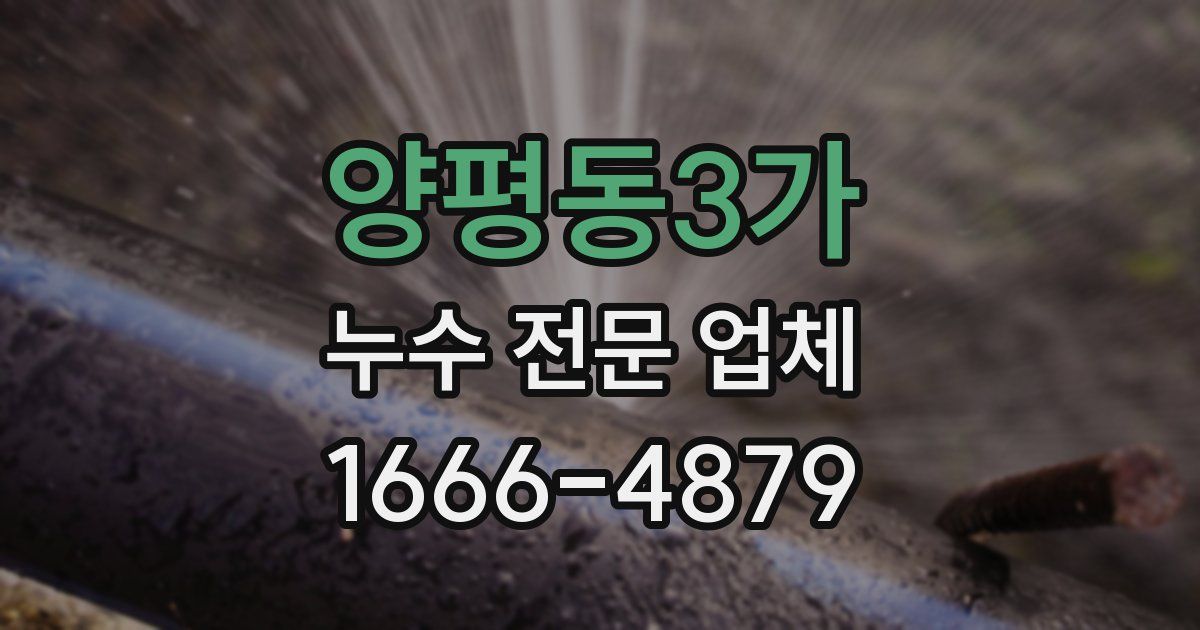 양평동3가 누수 전문 업체