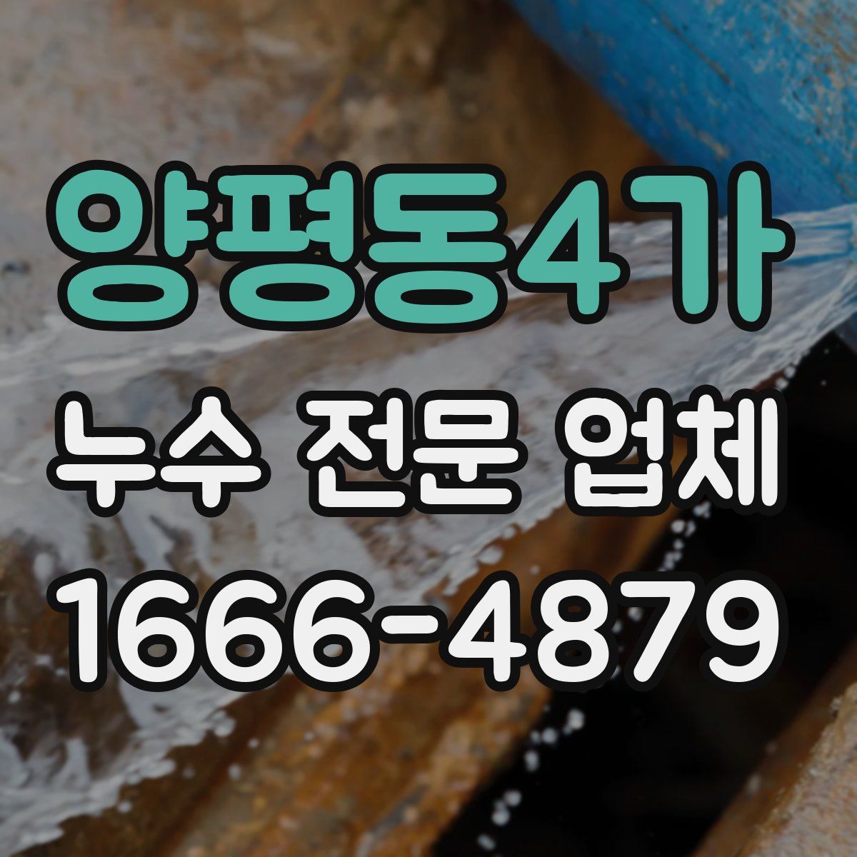 양평동4가 누수 전문 업체
