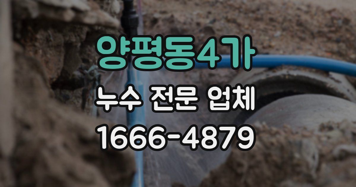 양평동4가 누수 전문 업체