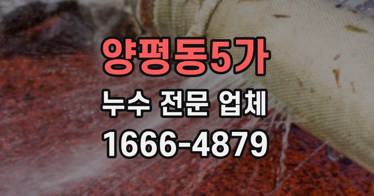 양평동5가 누수 전문 업체