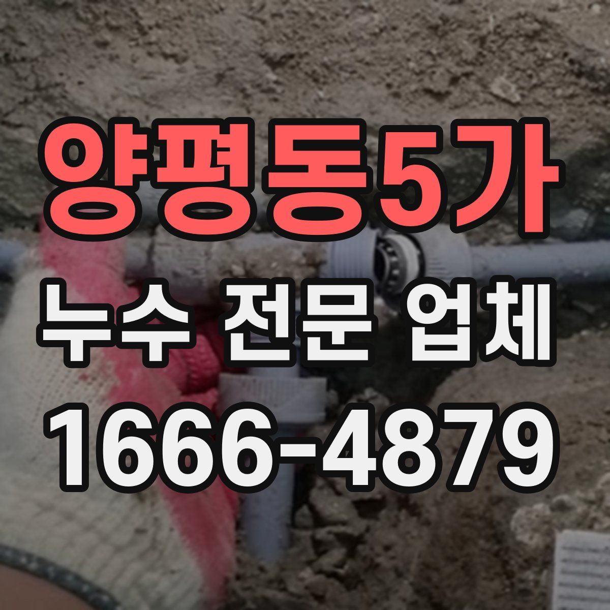 양평동5가 누수 전문 업체