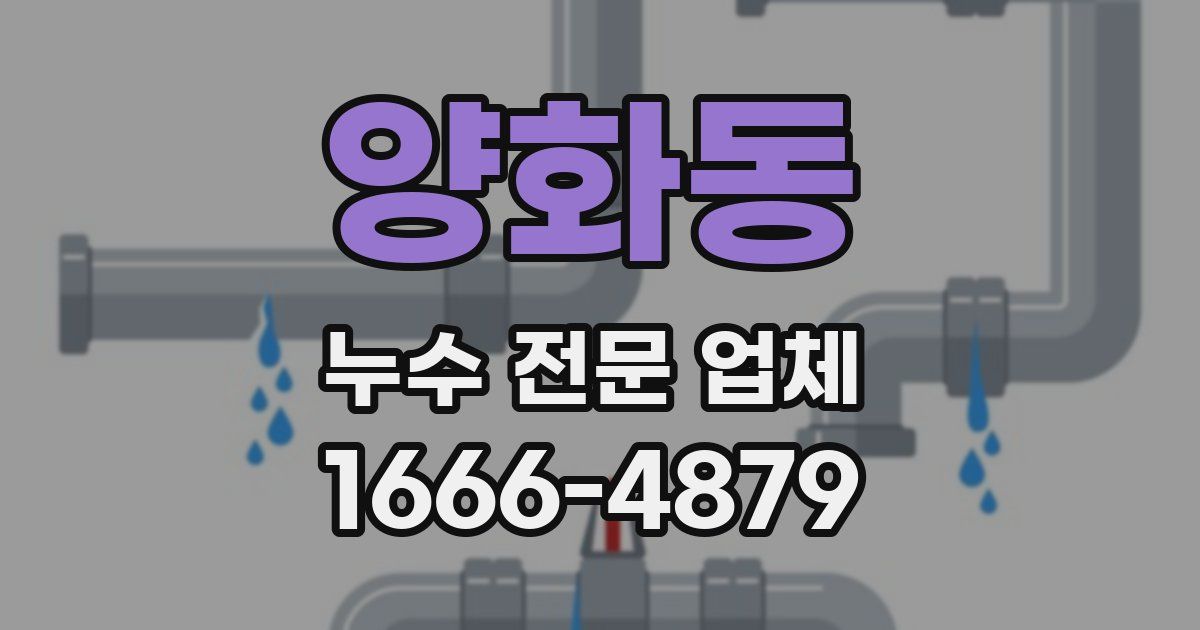 양화동 누수 전문 업체