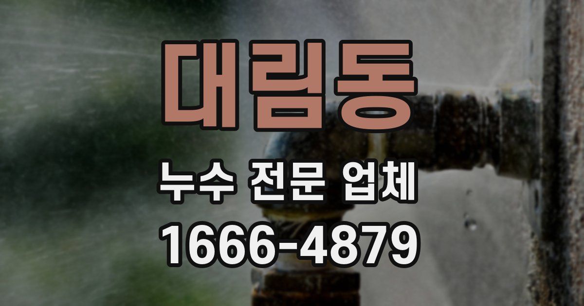대림동 누수 전문 업체
