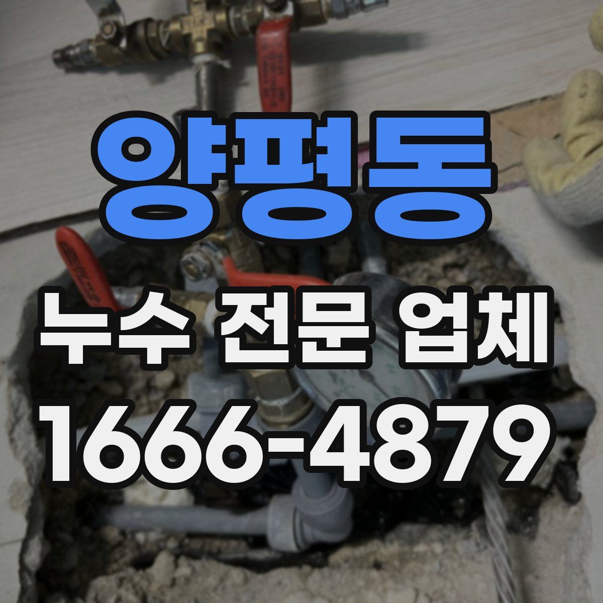 양평동 누수 전문 업체