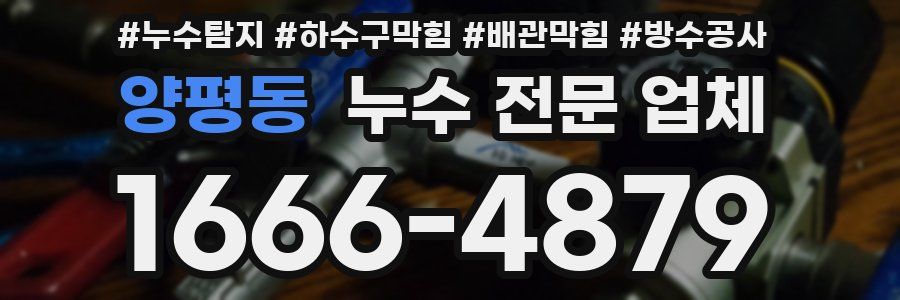 양평동 누수 전문 업체
