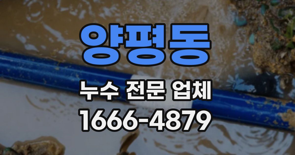 양평동 누수 전문 업체