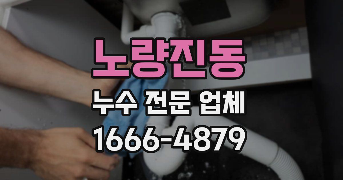 노량진동 누수 전문 업체
