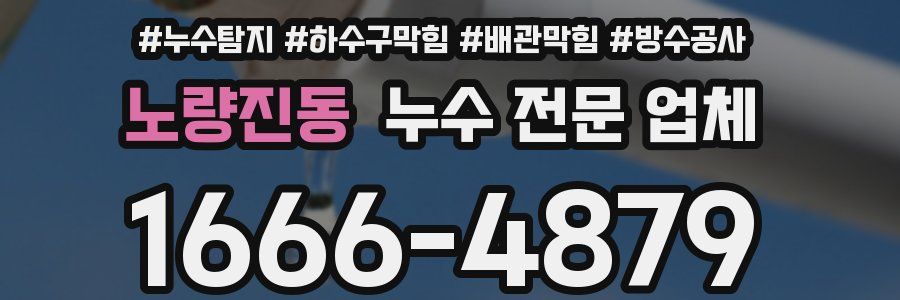 노량진동 누수 전문 업체