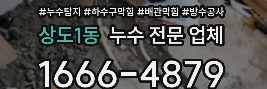 상도1동 누수 전문 업체