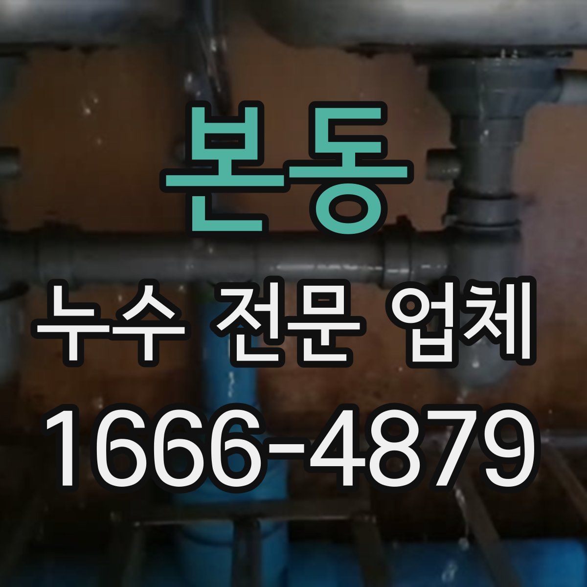 본동 누수 전문 업체