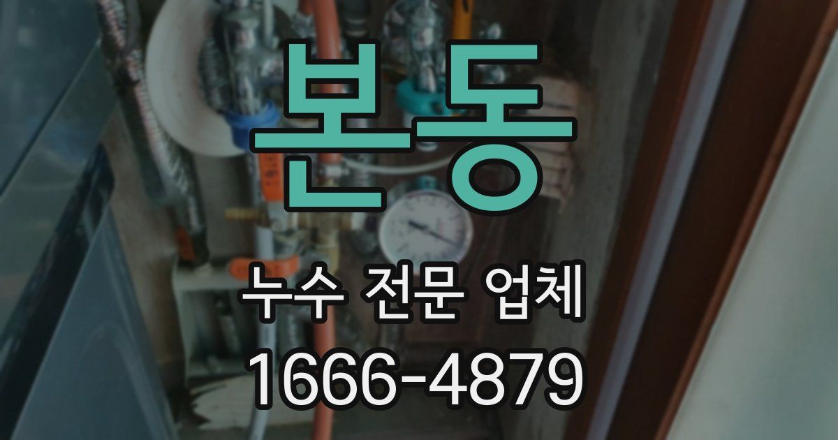 본동 누수 전문 업체