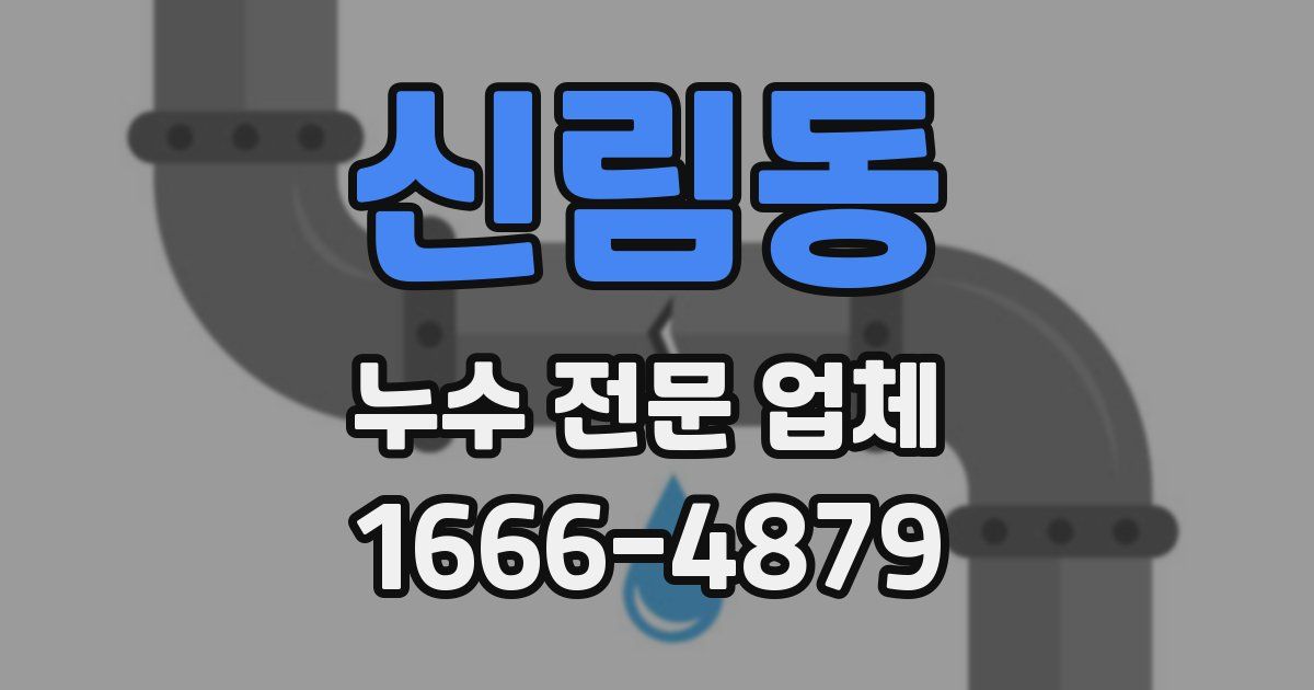 신림동 누수 전문 업체