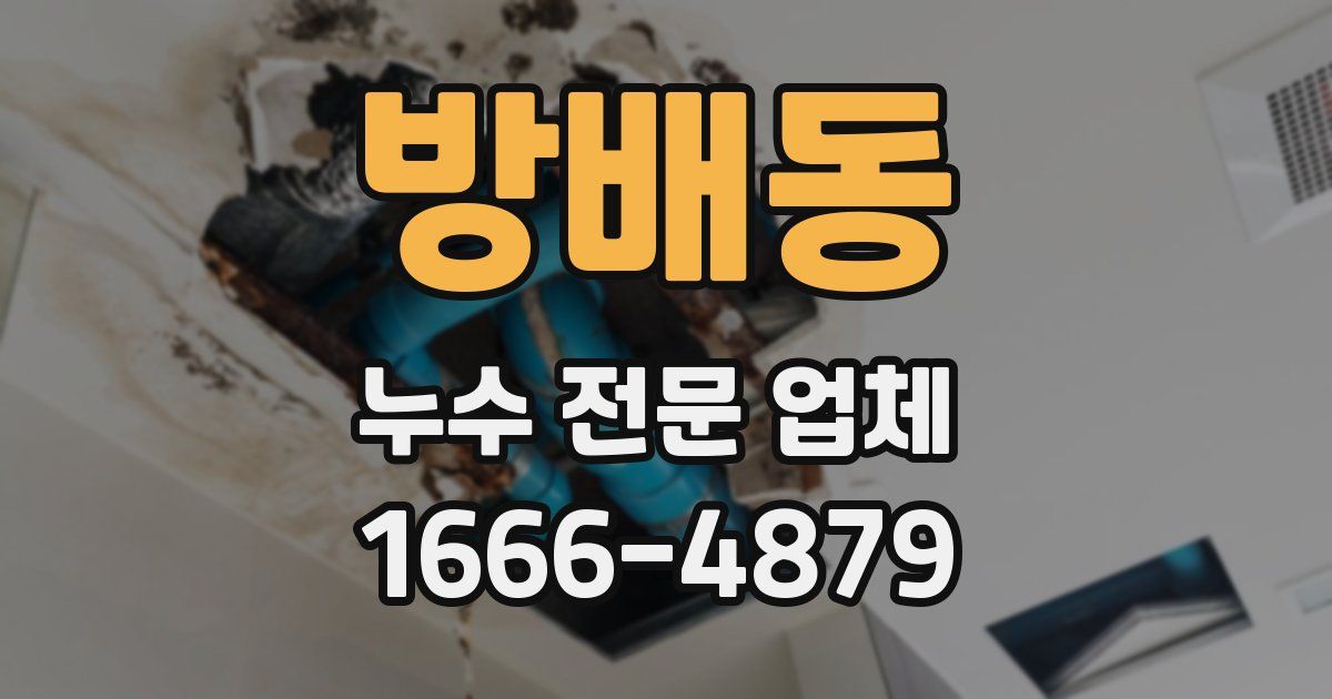 방배동 누수 전문 업체