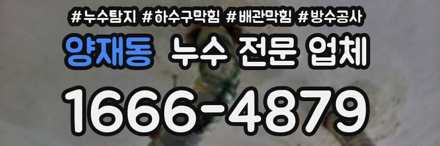 양재동 누수 전문 업체